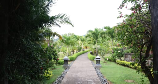 VIP tour of the Rhumerie de Chamarel