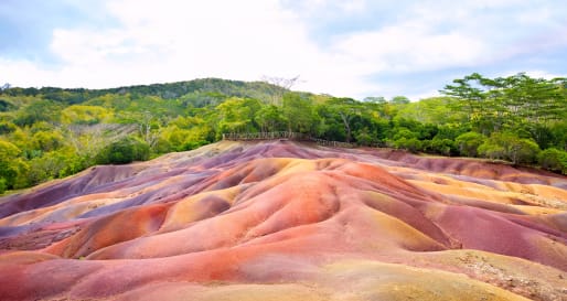 Wild Colours Scenic Trip