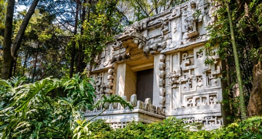 Anthropology Museum 