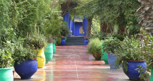 Visit the Majorelle Gardens