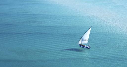 Dhow sailing 
