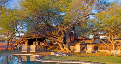 Camelthorn Kalahari Lodge - Main area