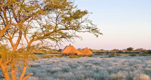 Kalahari Red Dunes Lodge