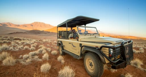 Desert Drive 