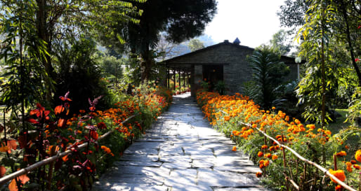 Gardens 