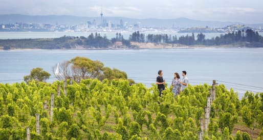 Waiheke Food and Wine - New Zealand 