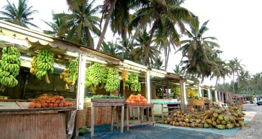 Half-day Salalah City Tour