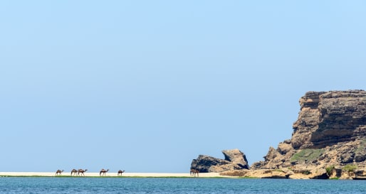 Taqah - Jebel Safari Tour in the Dhofar Mountains
