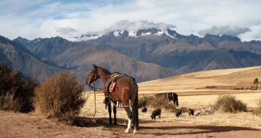 Sacred Valley horse riding with Sol y Luna