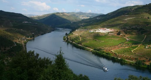 Douro River - Private boat trip on the Douro