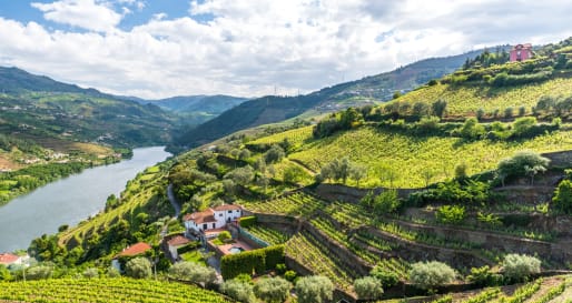 Douro Valley 