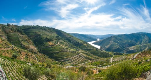 Douro Valley - Wine Country of Portugal: Porto and the Douro Valley