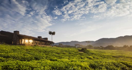 OneOnly Nyungwe House Exterior  