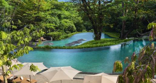 Pool - Capella Singapore