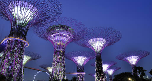 City Tour with Gardens by the Bay