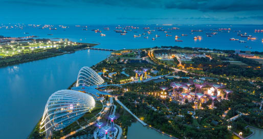 Views over Singapore - Singapore City Tour with a visit to the National Orchid Gardens