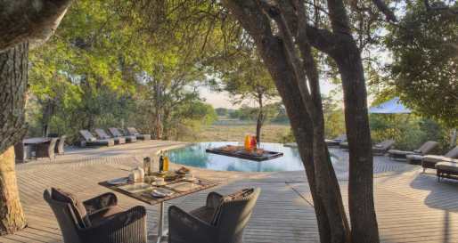 Pool - Phinda Forest Lodge