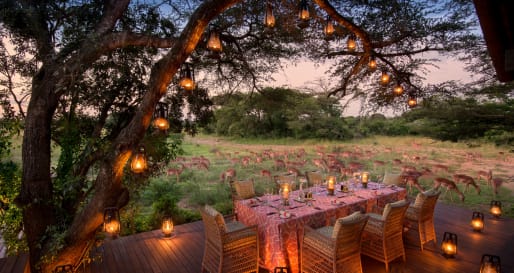 outside dinner