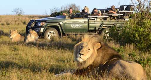 Kariega Game Drive - Kariega River Lodge