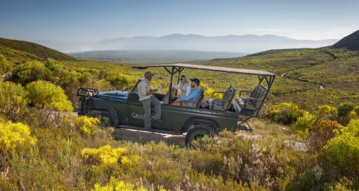Fynbos Tour at Grootbos