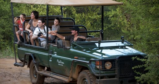 Game drives 