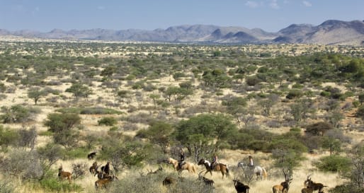 Riding in Tswalu - Activities at Tswalu
