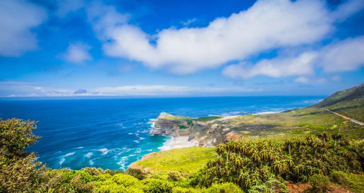 Cape Peninsula 