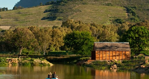 Out and about at Babylonstoren
