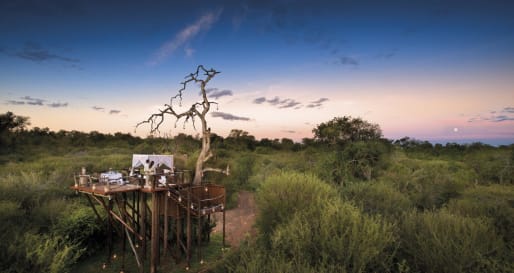 Spend a night in the Lion Sands Treehouse