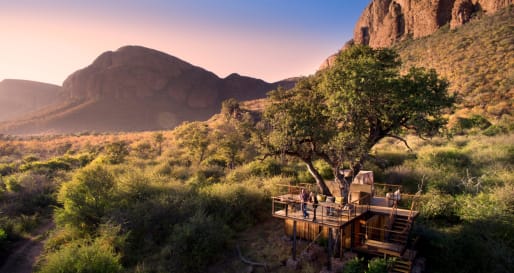 Thabametsi Treehouse - Thabametsi Treehouse Sleepout