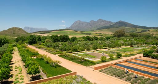The Garden at Babylonstoren