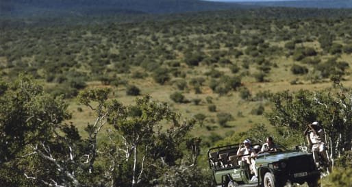 Twice Daily Game Drives