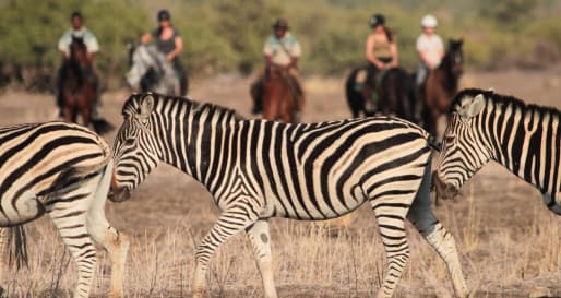 Riding safari at Mashatu