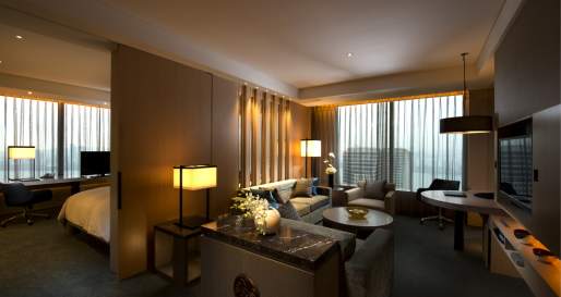 Executive SuiteLiving Room  