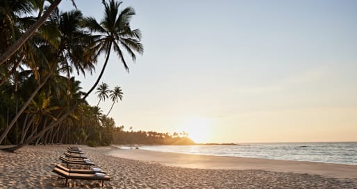Beach View
