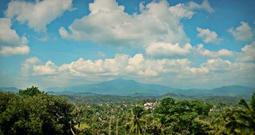 View - Elephant Stables