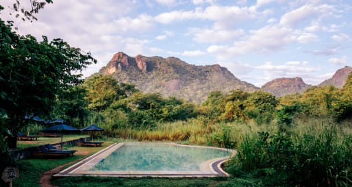 Pool View - Gal Oya Lodge 