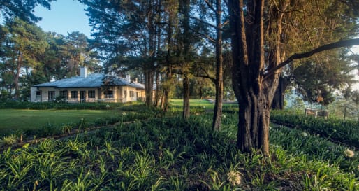 Bungalow 