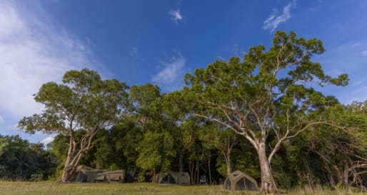 Under the trees - Kumana Under Canvas 