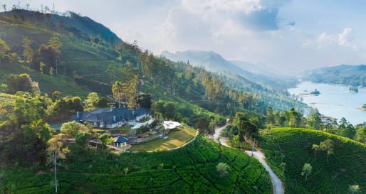 Property Overview - Halloowella
