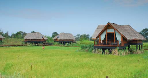 Paddy Dwelling - Vil Uyana