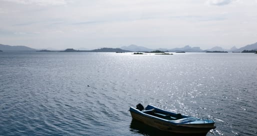 Boat Safari 
