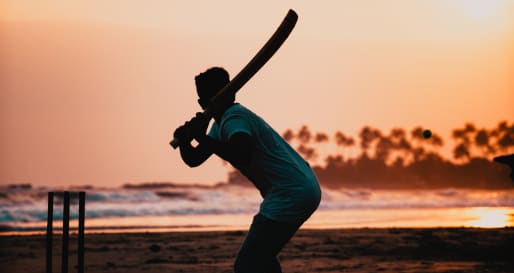 Cricket 