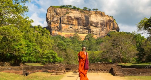 Monk Experience  