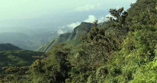 Walking in Horton Plains