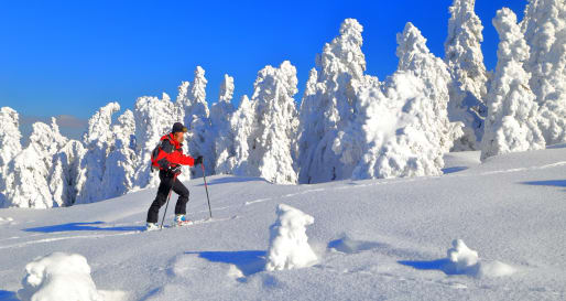 Cross-country skiing