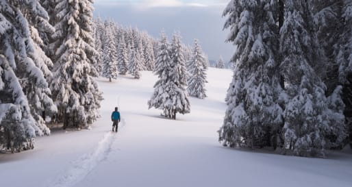 Snowshoeing - Snowshoe Walk in Swedish Lapland