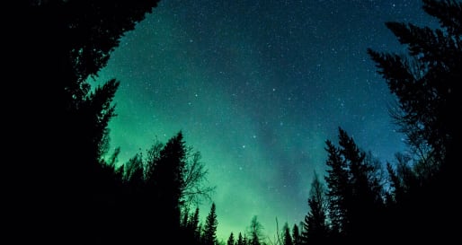 Northern Lights - Northern Lights Safari at Sörbyn Lodge