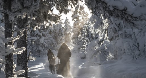 Fjellborg Arctic Lodge Dog Sled 