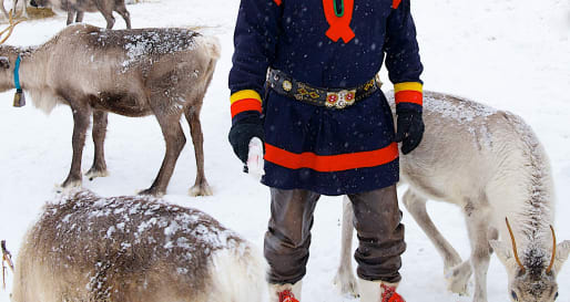 Sami cultural experience